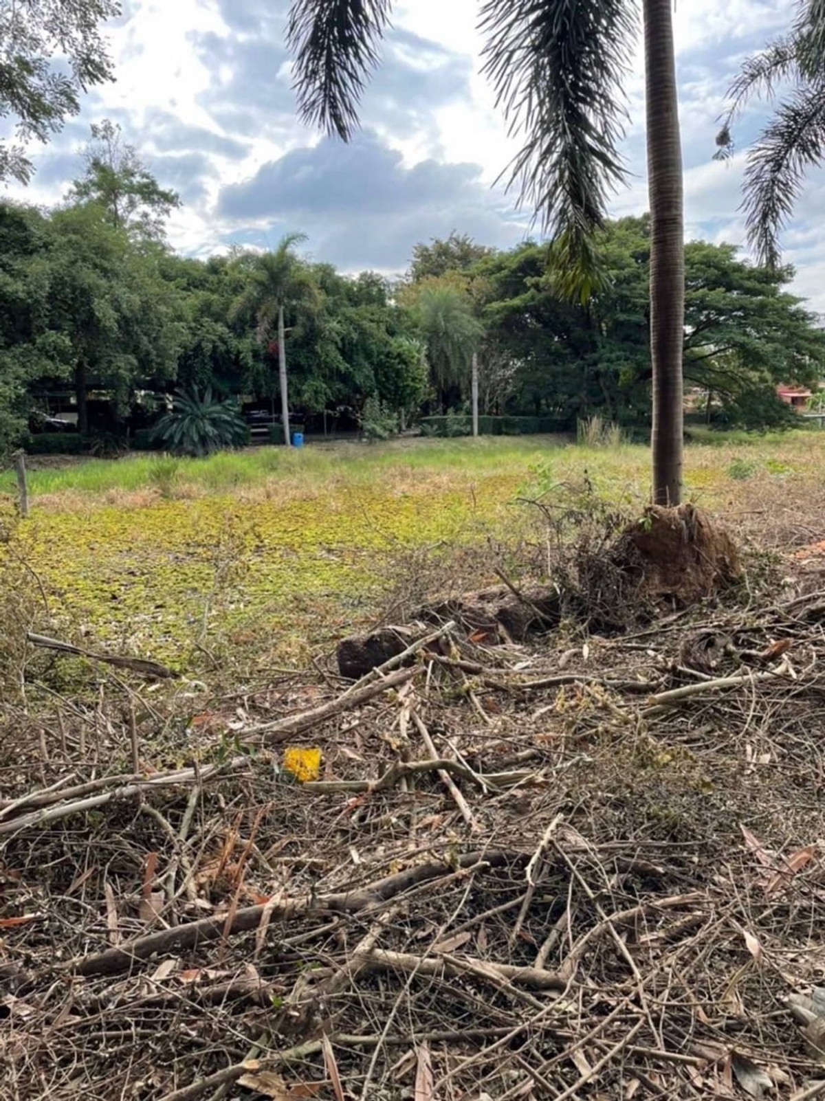 ขายที่ดินปราจีนบุรี : ❤️ขายด่วน ที่ดินปราจีนบุรี อำเภอศรีมหาโพธิ ( สีฟ้าที่ระบาย )  ราราขายจริง 8-9 ล้าน  เเต่ขายราคาเพียง 5.99 ล้าน  เท่าราคาประเมิน  ใกล้โรงแรมวังสำราญเส้น 304  ขนาด 1 ไร่  สนใจ line @900cqqhk tel 0859114585. 