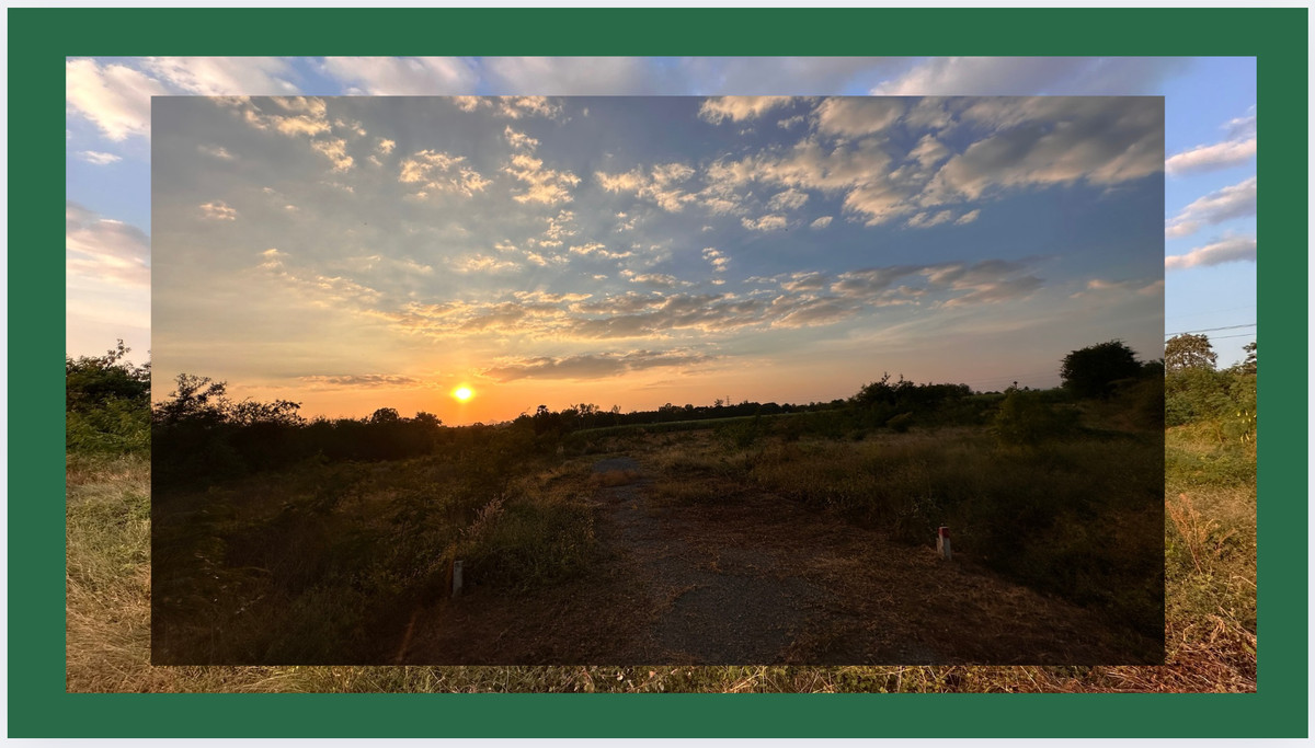 For SaleLandLop Buri : #Land Phatthana Nikhom #next to highway 2007 #Near Pa Sak Dam #Wang Kan Lueang Garden #sunflower field #WeekendRetreat #Profit since purchase