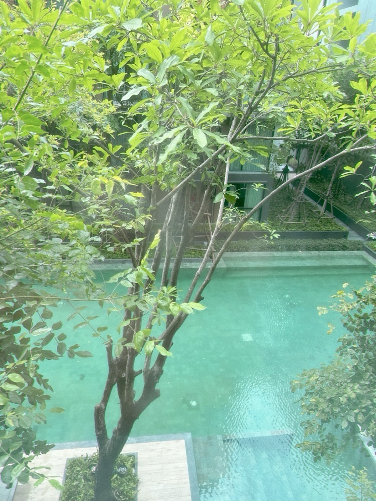 For RentCondoSukhumvit, Asoke, Thonglor : vtara 1 room available