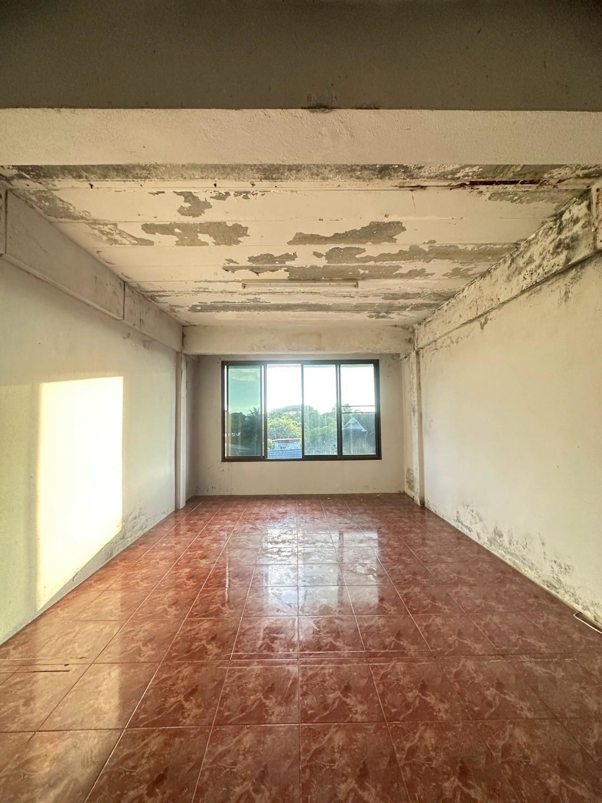 ขายทาวน์โฮมเชียงราย : อาคารพาณิชย์ 3 ชั้นครึ่ง ทำเลดี หน้า สนง.หอการค้า จังหวัดเชียงราย ใกล้ทางออกสถานีขนส่งผู้โดยสารแห่งที่ 2