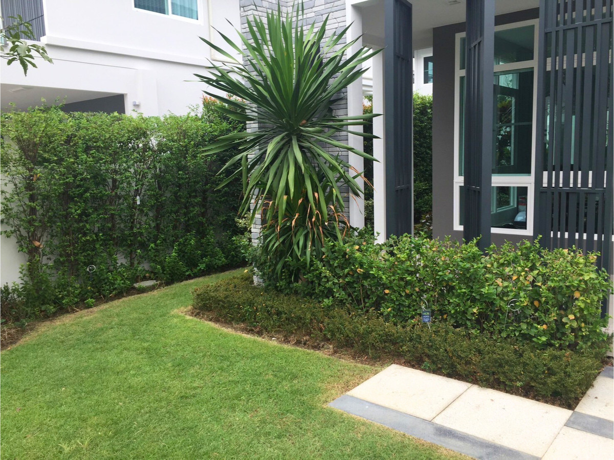 For SaleHouseLadkrabang, Suwannaphum Airport : For Rent: Detached house, Mantana Onnut-Wongwaen 5, with solar cell and Air Plus system. Near Mega Bangna. 82.4 sq.w., 4 bedrooms, 5 bathrooms, separate maid's room, 5 minutes to the motorway