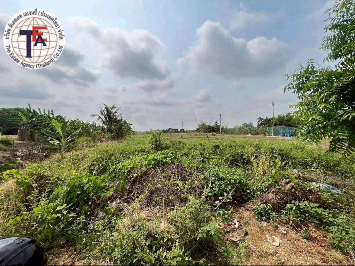 ขายที่ดินมีนบุรี-ร่มเกล้า : ขายด่วนที่ดิน 1 ไร ่ฝั่งตรงข้ามบางกอกอารีน่า หนองจอก เชื่อมสัมพันธ์