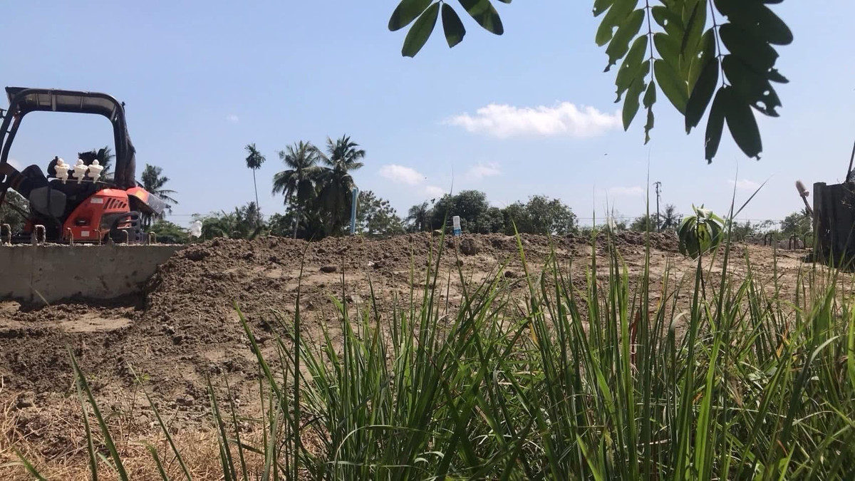 ที่ดินพุทธมณฑล ศาลายา : ขายที่ดิน 155 ตารางวา ติดถนนสามแยกไฟฉาย - พุทธมณฑลสาย4 