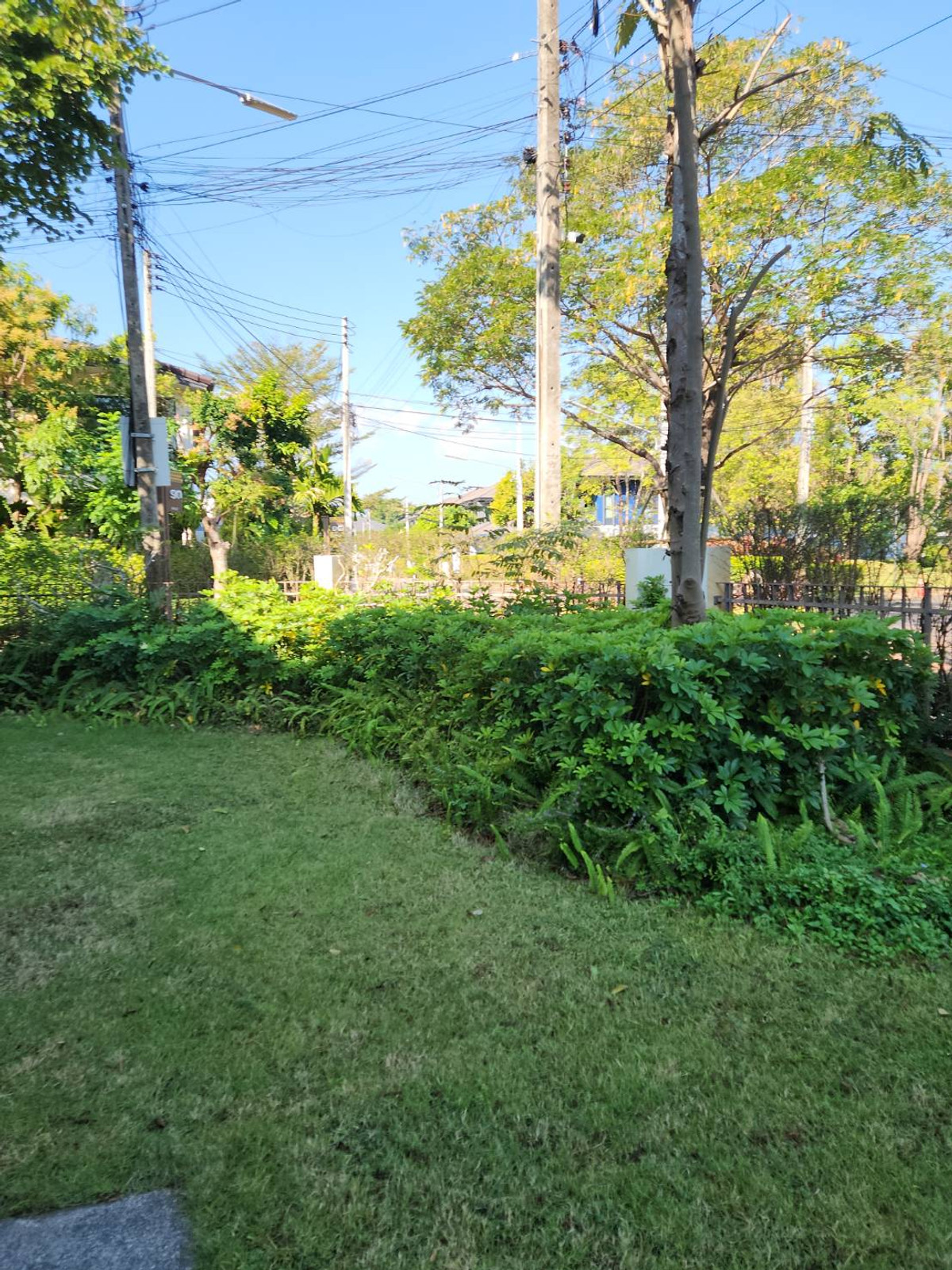 บ้านเชียงใหม่ : ขาย เเละ เช่า บ้านบุราสิริ สันผีเสื้อ เชียงใหม่ 