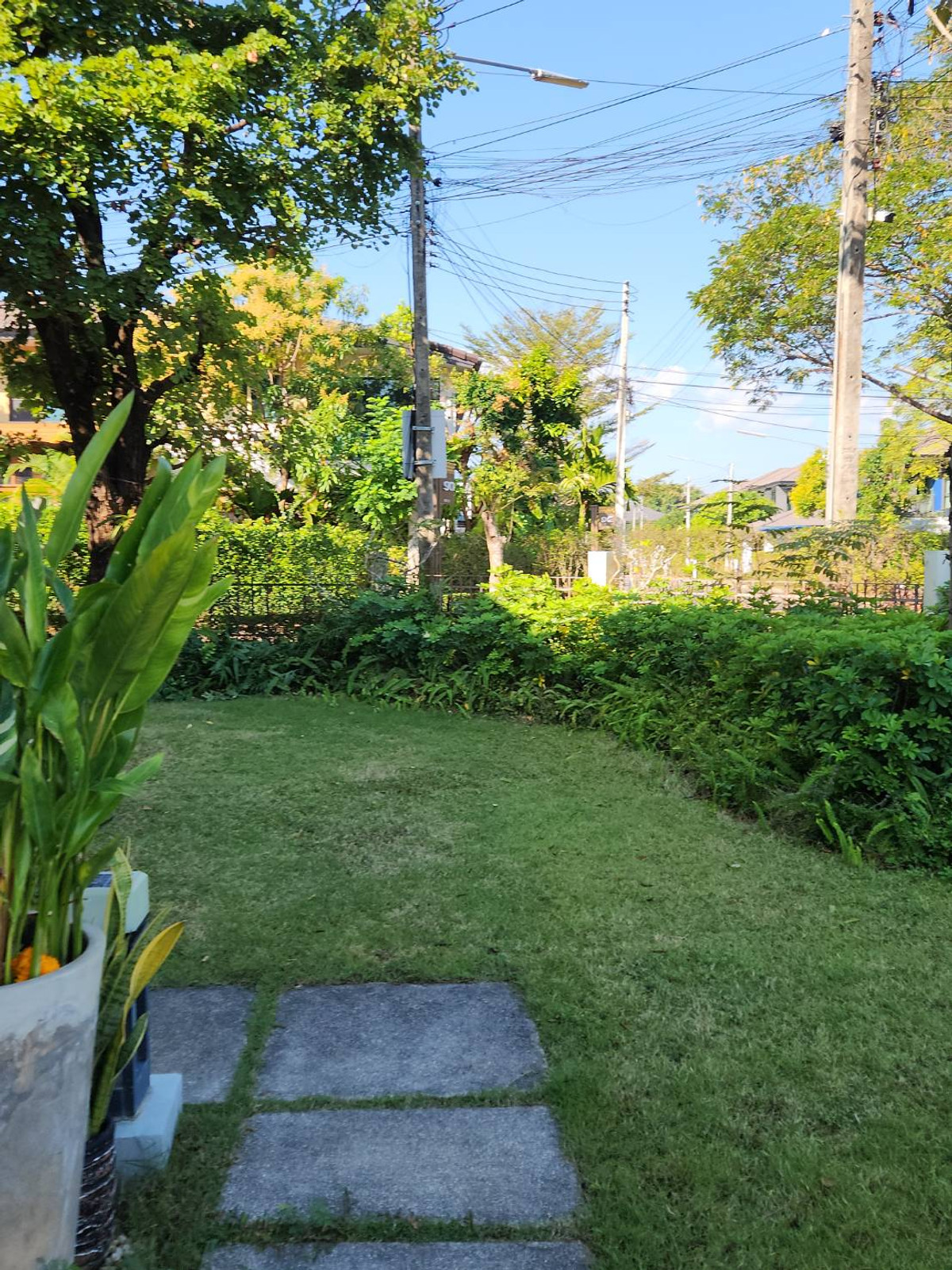 บ้านเชียงใหม่ : ขาย เเละ เช่า บ้านบุราสิริ สันผีเสื้อ เชียงใหม่ 