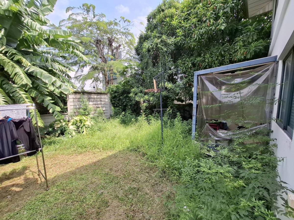 ขายบ้านนนทบุรี บางใหญ่ บางบัวทอง : ขายบ้าน  โมดิ วิลล่า ชัยพฤกษ์ บางบัวทอง บางบัวทอง นนทบุรี CX-141816