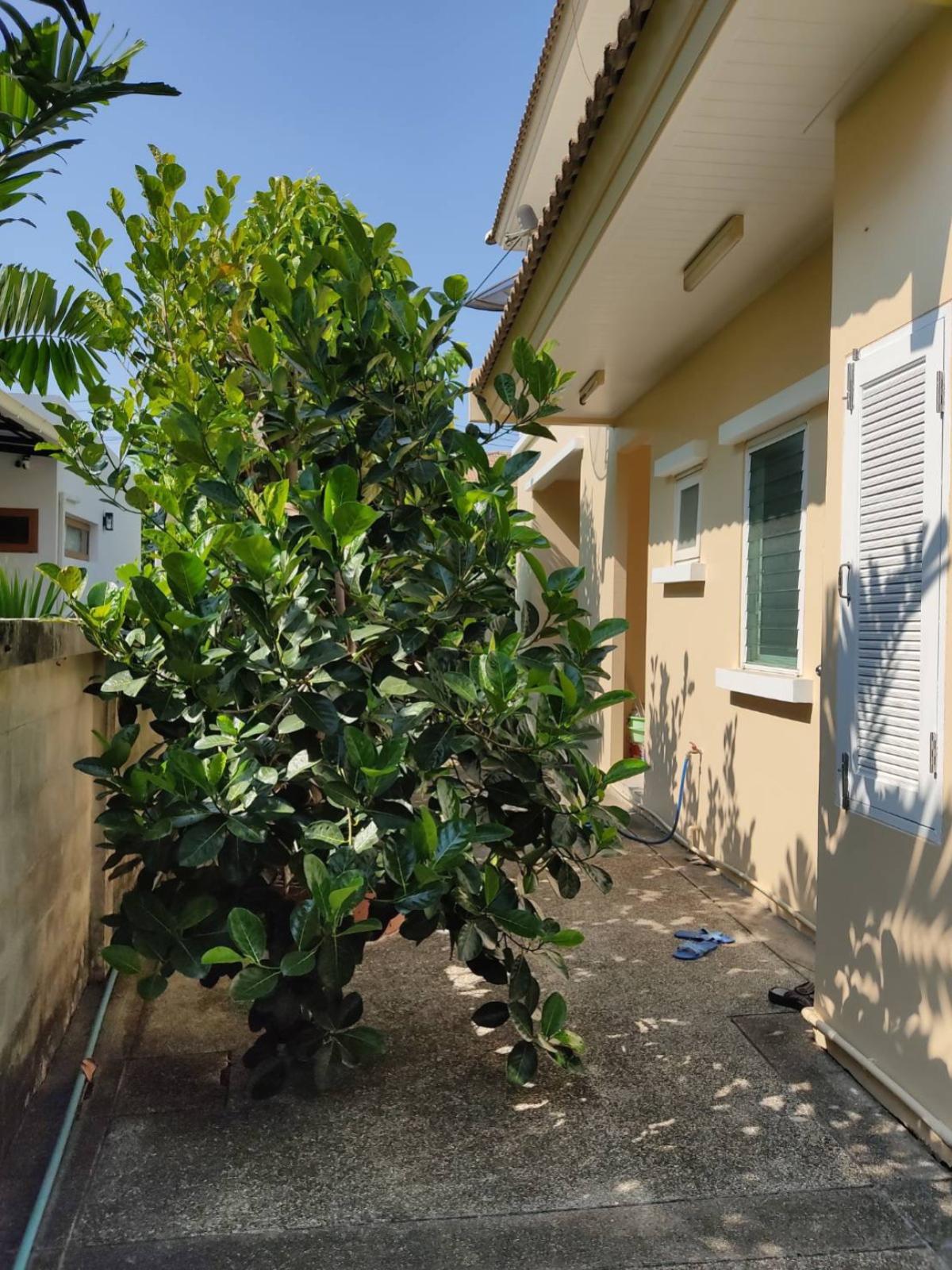 ขายบ้านเอกชัย บางบอน : ขายบ้าน  เดอะ วอเตอร์ เฮ้าส์ กาญจนาภิเษก-พระราม 2 บางแค เขต บางแค กรุงเทพ CX-141686