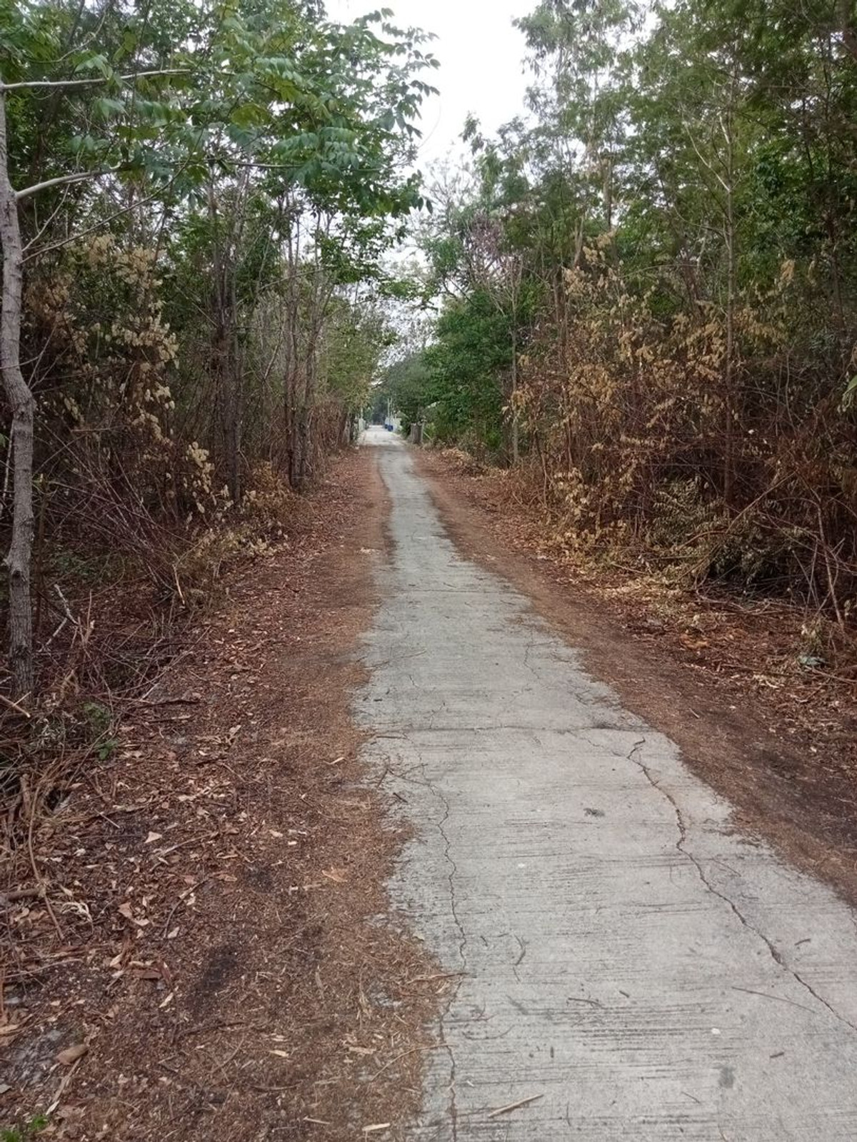 ขายที่ดินสระบุรี : ขายที่ดินเปล่า ราคาถูก ใกล้ชุมชน อ.พระพุทธบาท จ.สระบุรี