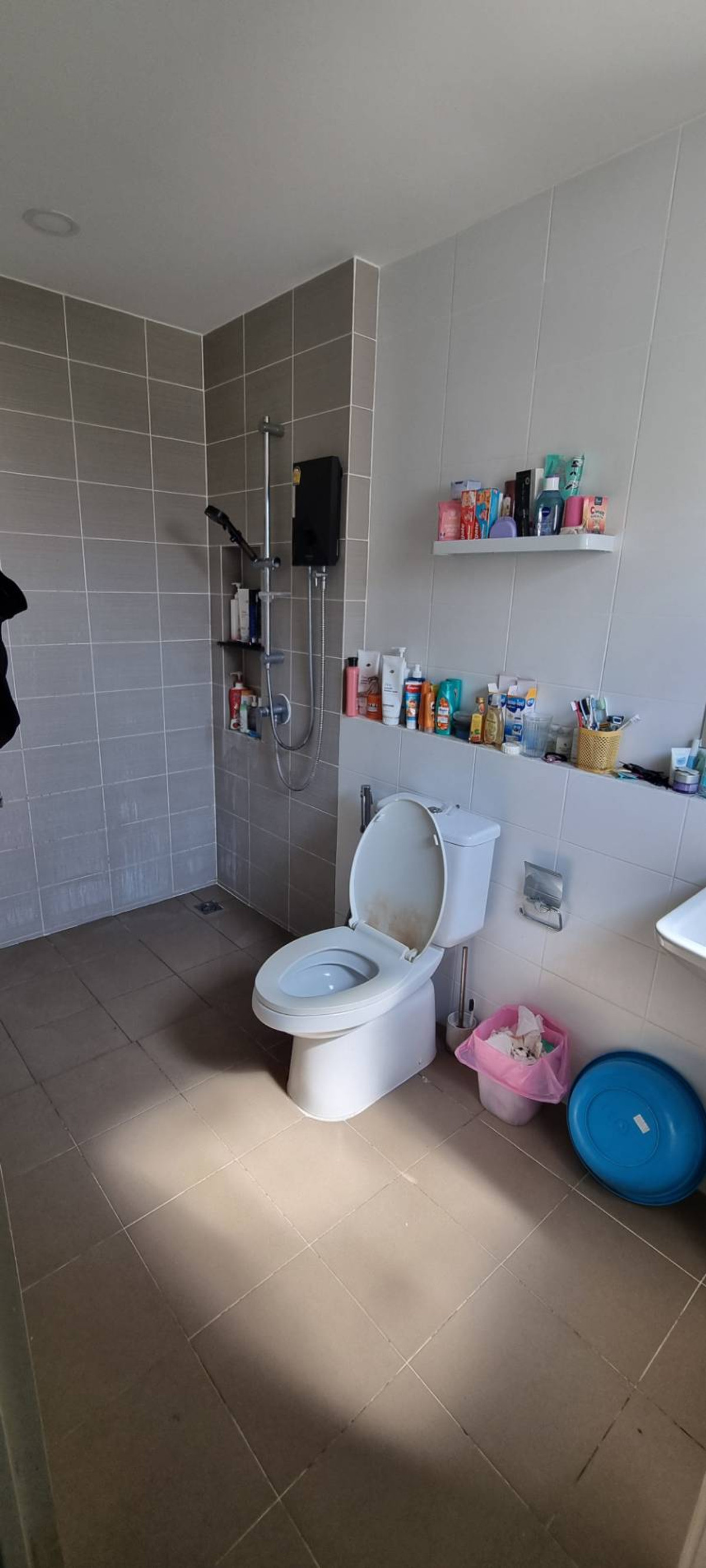 ขายบ้านพระราม 5 ราชพฤกษ์ บางกรวย : บ้านเดี่ยว เซนโทร ราชพฤกษ์ - สวนผัก 3 / 4 ห้องนอน (ขาย), Centro Ratchaphruek - Suanphak 3 / Detached House 4 Bedrooms (FOR SALE) AOM029