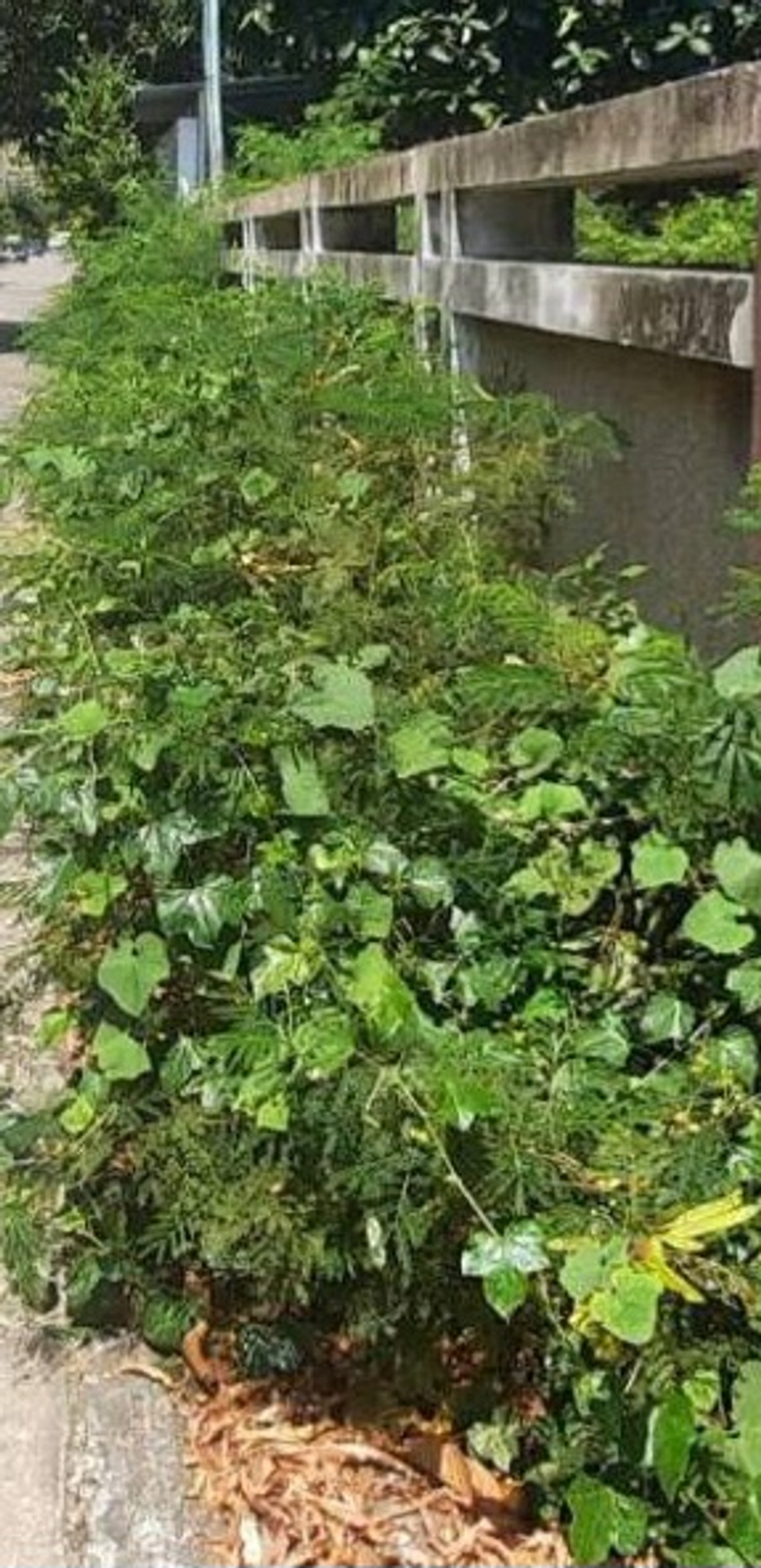 For SaleHouseOnnut, Udomsuk : Land for sale 400 sq m, Soi Sukhumvit 64 Complete with beautiful original buildings, electricity and water ready to use.  Near Punnawithi BTS Expressway, True Digital Park.