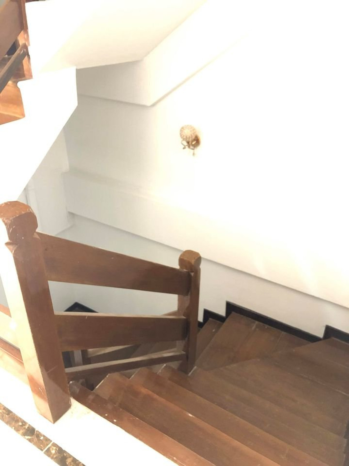 ให้เช่าทาวน์โฮมสะพานควาย จตุจักร : บ้านให้เช่า ตรงข้ามตลาด บองมาร์เช่ 4ชั้น 5ห้องนอน 5ห้องน้ำ มีห้องแม่บ้าน