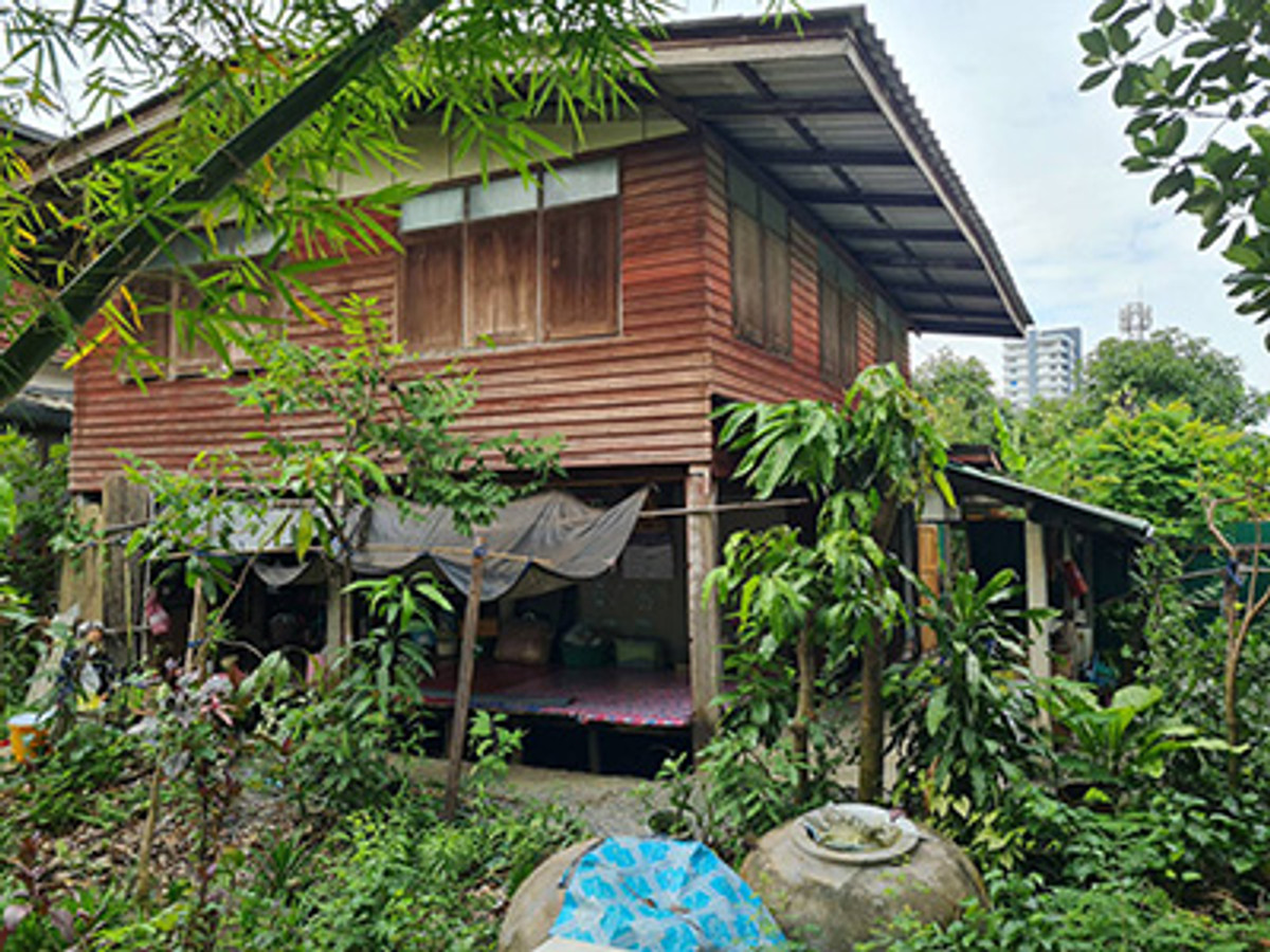 ขายบ้านเอกชัย บางบอน : ขายที่ดิน พร้อมบ้านไม้ในสวน บ้านไม้ 2 ชั้น