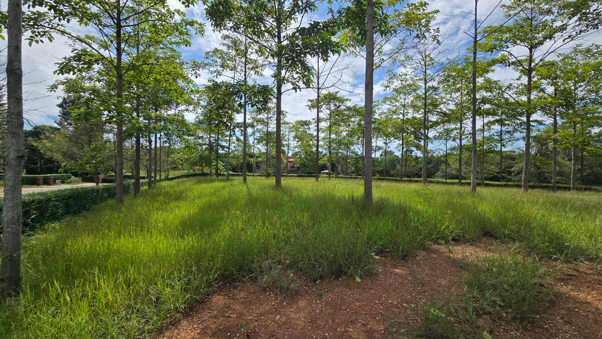 For SaleLandPak Chong KhaoYai : Empty land in the Toscana Valley project, title deed, Red Garuda, 407 sq m, premium project in Khao Yai, on a hill, no flooding.