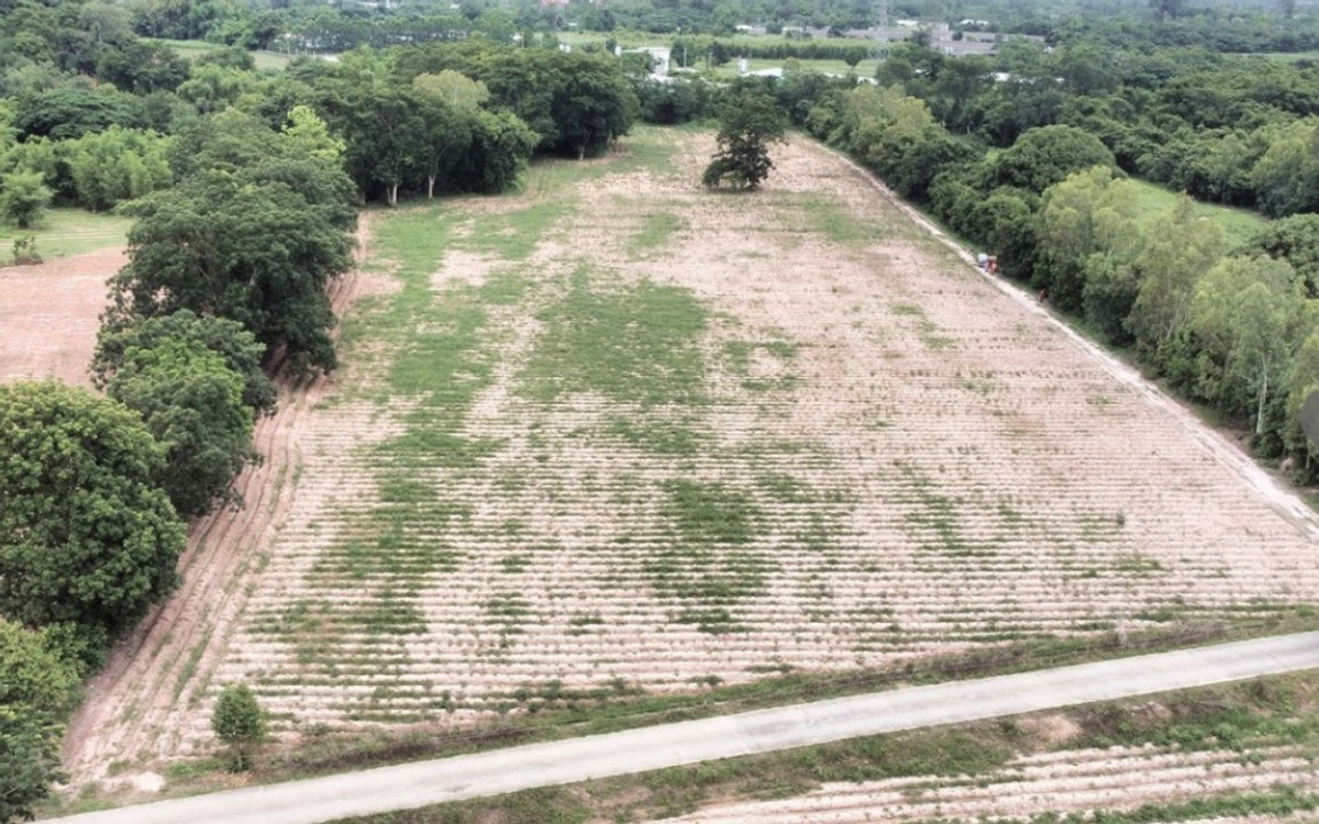 ขายที่ดินสระบุรี : ขายที่ดิน สระบุรี เจริญธรรม อำเภอวิหารแดง 30 ไร่ ติดถนนคอนกรีต พื้นที่ผังสีส้ม 