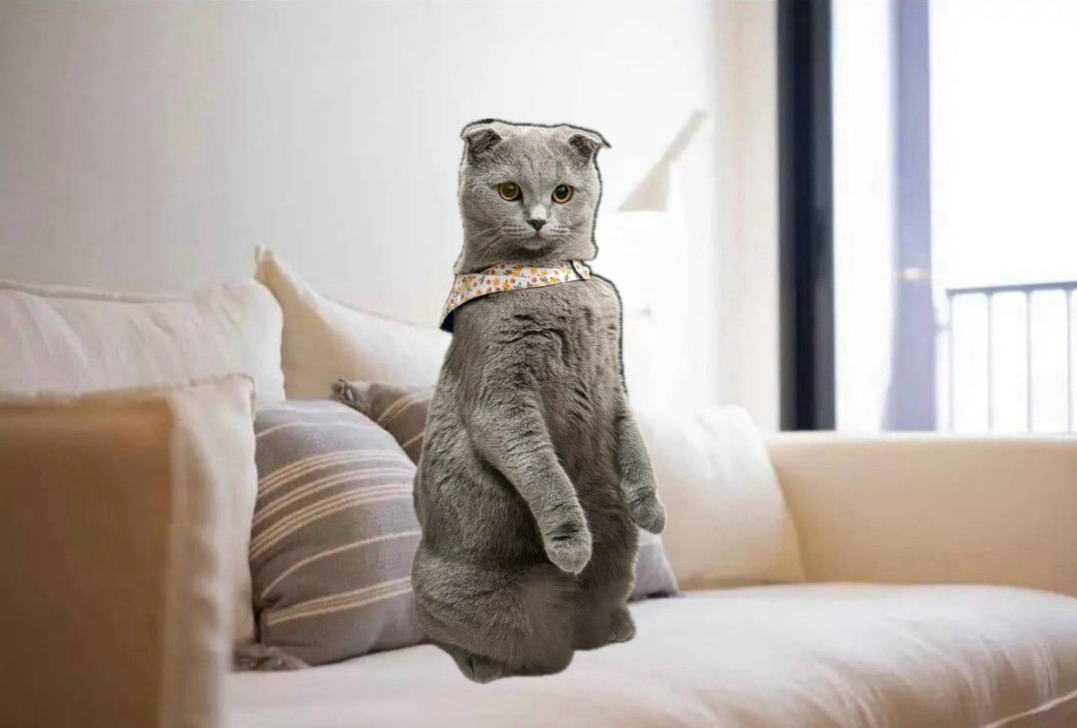 ให้เช่าคอนโดสุขุมวิท อโศก ทองหล่อ : 🔹MARU Ekkamai🔹• Pet Friendly with Deposit 3 Months🐈🐶 • 60 Sq.M. • 2 Bedrooms 2 Bathrooms  • Floor 10