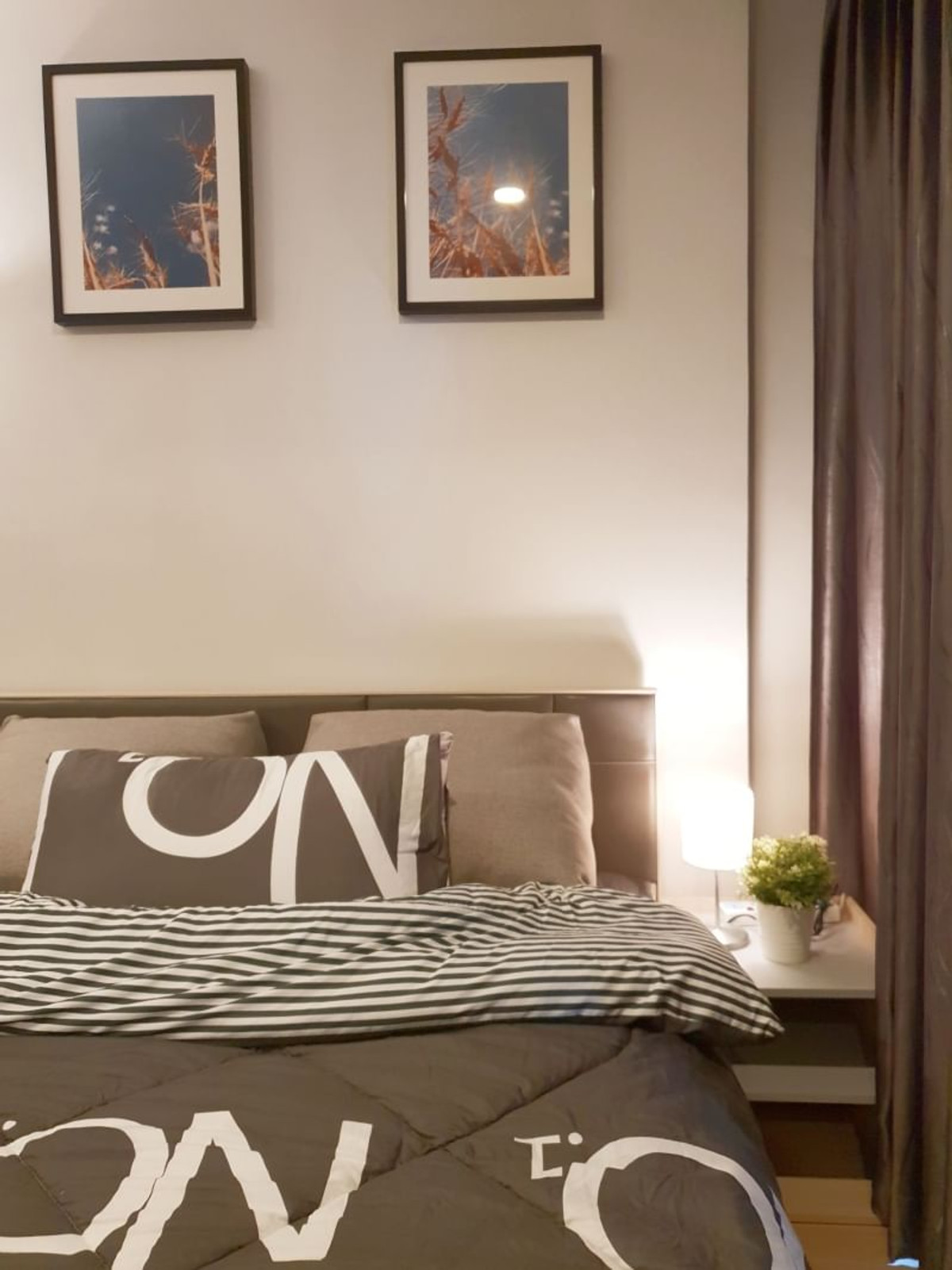 For RentCondoBangna, Bearing, Lasalle : Condo for Rent: Ideo O2 Near BTS Bang Na