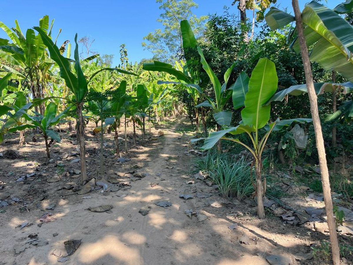 ขายที่ดินสุโขทัย : ที่ดินเปล่า 1 ไร่ ติดคลอง แปลงสี่เหลี่ยมสวย ตำบลในเมือง อำเภอสวรรคโลก จังหวัดสุโขทัย