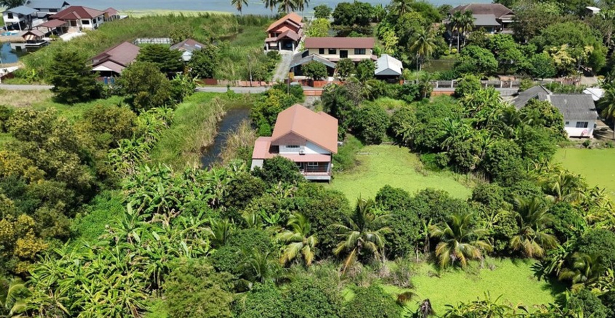 ขายที่ดินมีนบุรี-ร่มเกล้า : ขายที่ดิน 1 ไร่ พร้อม บ้านเดี่ยว 2 ชั้น หนองจอก ชุมชนหมู่ 4 ร่วมพัฒนา