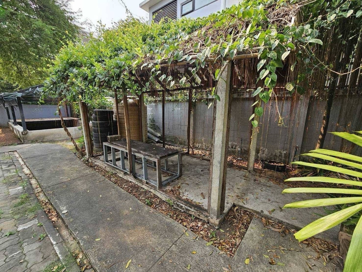 บ้านลาดพร้าว เซ็นทรัลลาดพร้าว : ขายและให้เช่าบ้านสวน ลาดพร้าว 1  ใกล้ MRT ลาดพร้าว และ BTS แยกลาดพร้าว เหมาะอยู่อาศัยและทำธุรกิจ