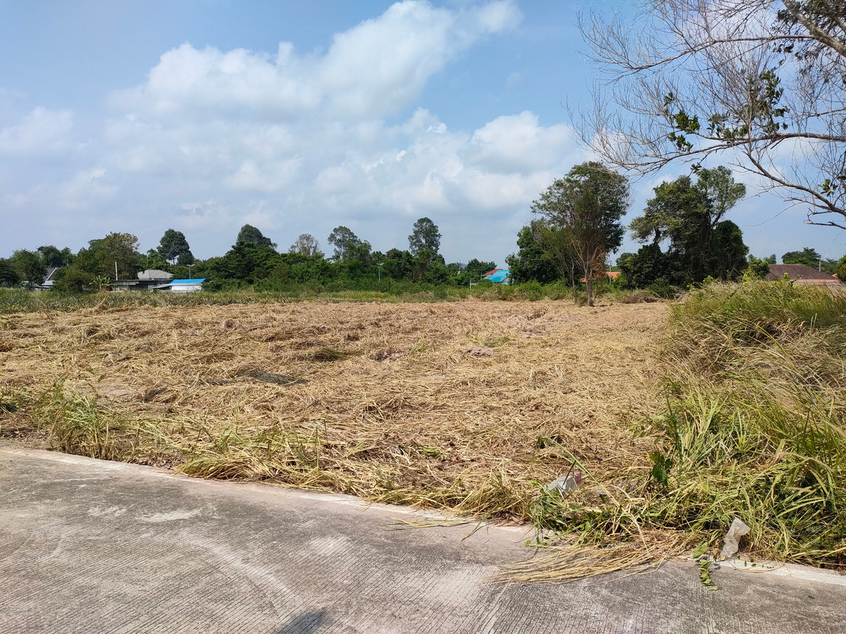 ขายที่ดินพัทยา บางแสน ชลบุรี สัตหีบ :  ขายที่ดิน สัตหีบ ซอยพลูตาหลวง 23 ขนาด 1 ไร่ ใกล้สนามบินอู่ตะเภา