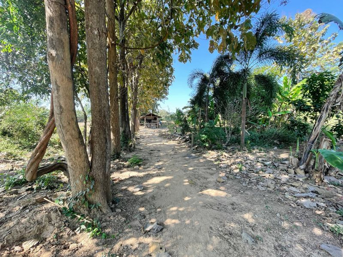 ขายที่ดินสุโขทัย : ที่ดินเปล่า 1 ไร่ ติดคลอง แปลงสี่เหลี่ยมสวย ตำบลในเมือง อำเภอสวรรคโลก จังหวัดสุโขทัย