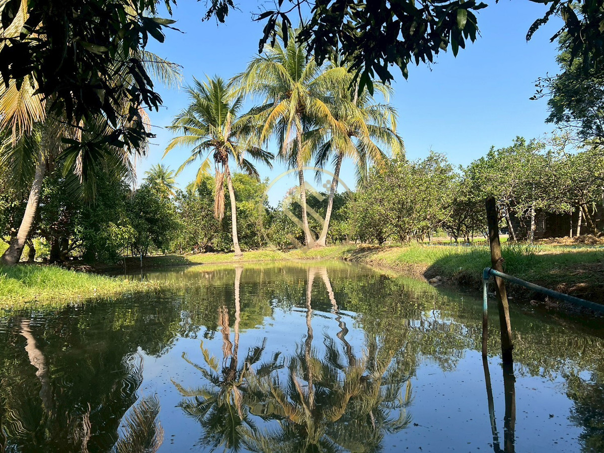 For SaleHouseChai Nat : Urgent sale, Baan Suan Som O, a fertile vacation home in Sankhaburi District. Chainat Province 4 rai 1 ngan, no flooding.