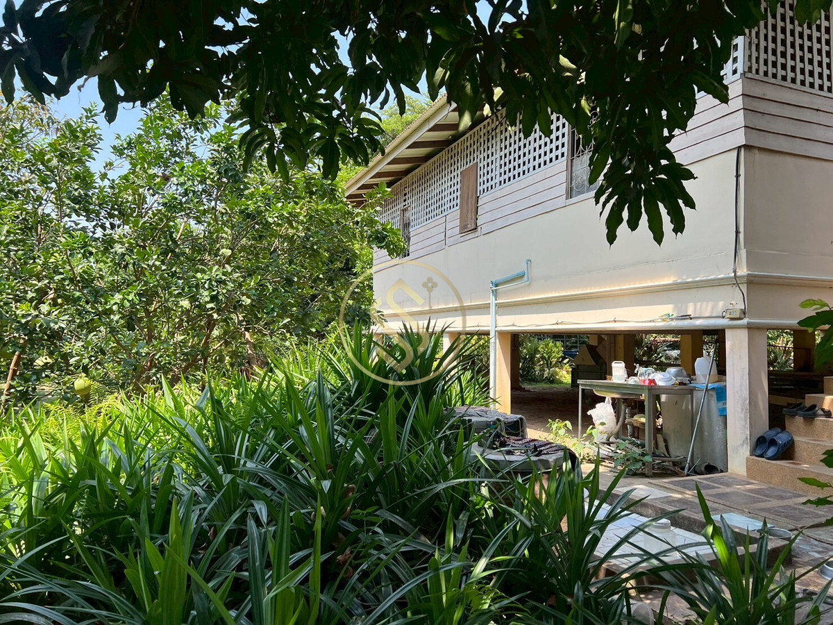 For SaleHouseChai Nat : Urgent sale, Baan Suan Som O, a fertile vacation home in Sankhaburi District. Chainat Province 4 rai 1 ngan, no flooding.