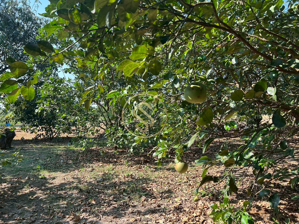 For SaleHouseChai Nat : Urgent sale, Baan Suan Som O, a fertile vacation home in Sankhaburi District. Chainat Province 4 rai 1 ngan, no flooding.