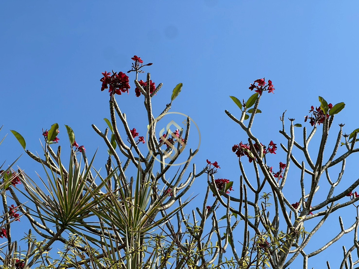 For SaleHouseChai Nat : Urgent sale, Baan Suan Som O, a fertile vacation home in Sankhaburi District. Chainat Province 4 rai 1 ngan, no flooding.