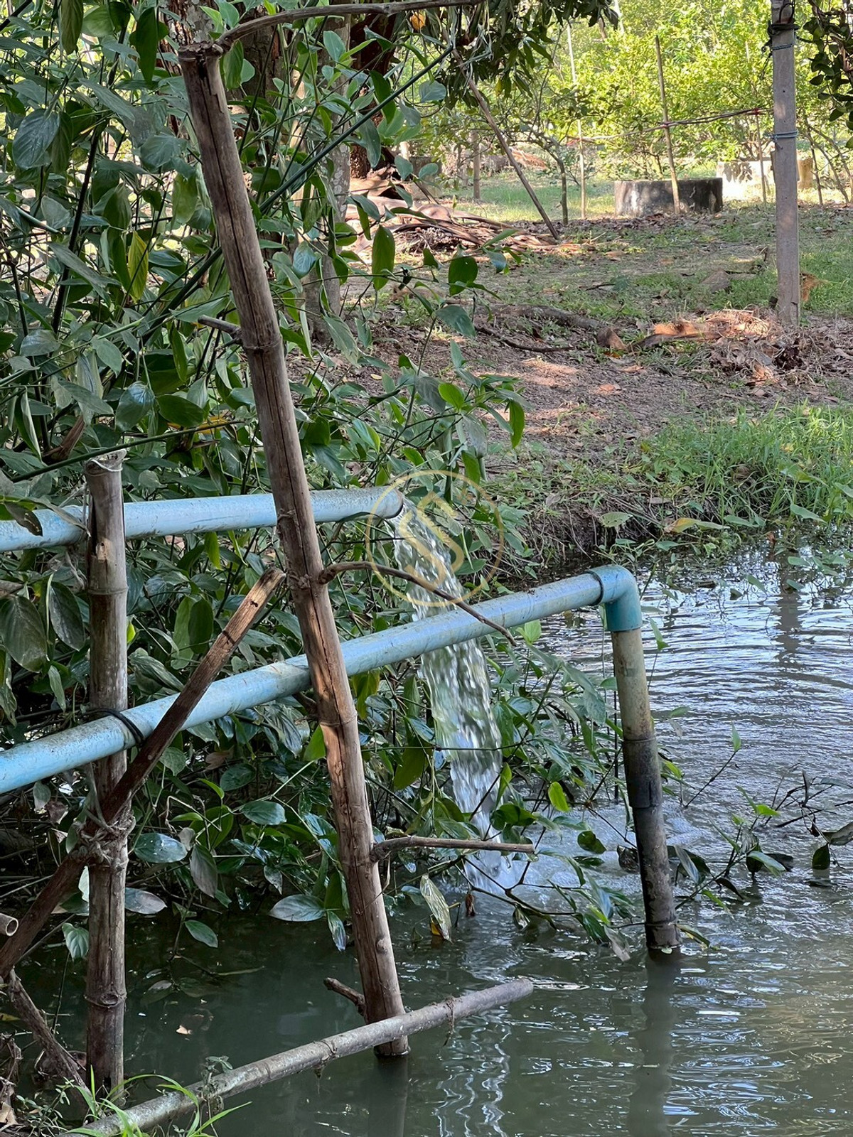 For SaleHouseChai Nat : Urgent sale, Baan Suan Som O, a fertile vacation home in Sankhaburi District. Chainat Province 4 rai 1 ngan, no flooding.