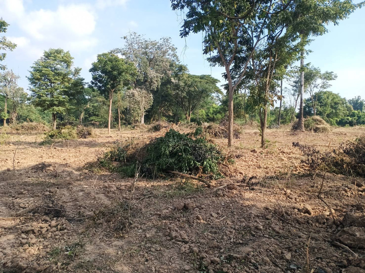 ขายที่ดินชัยนาท : ขายที่ดิน ตำบล วังไก่เถื่อน อ.หันคา ชัยนาท ติดคลอง