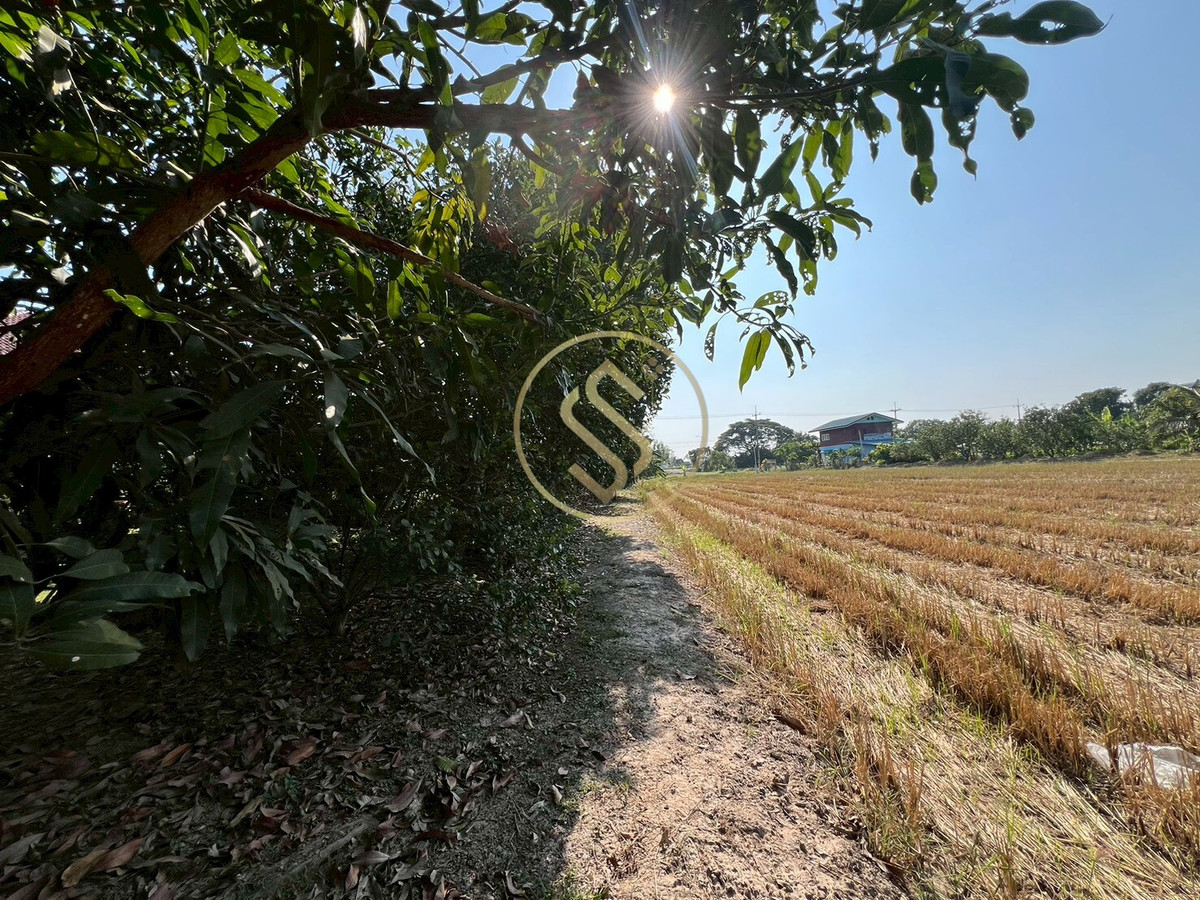 For SaleHouseChai Nat : Urgent sale, Baan Suan Som O, a fertile vacation home in Sankhaburi District. Chainat Province 4 rai 1 ngan, no flooding.