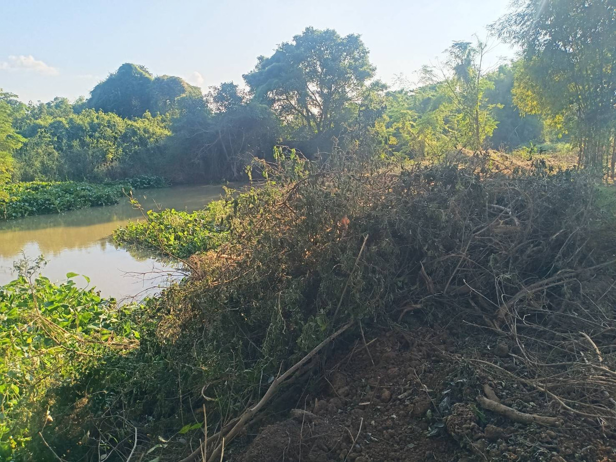 ขายที่ดินชัยนาท : ขายที่ดิน ตำบล วังไก่เถื่อน อ.หันคา ชัยนาท ติดคลอง