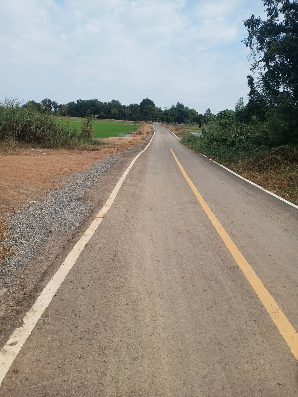 ขายที่ดินชัยนาท : ขายที่ดิน ตำบล วังไก่เถื่อน อ.หันคา ชัยนาท ติดคลอง