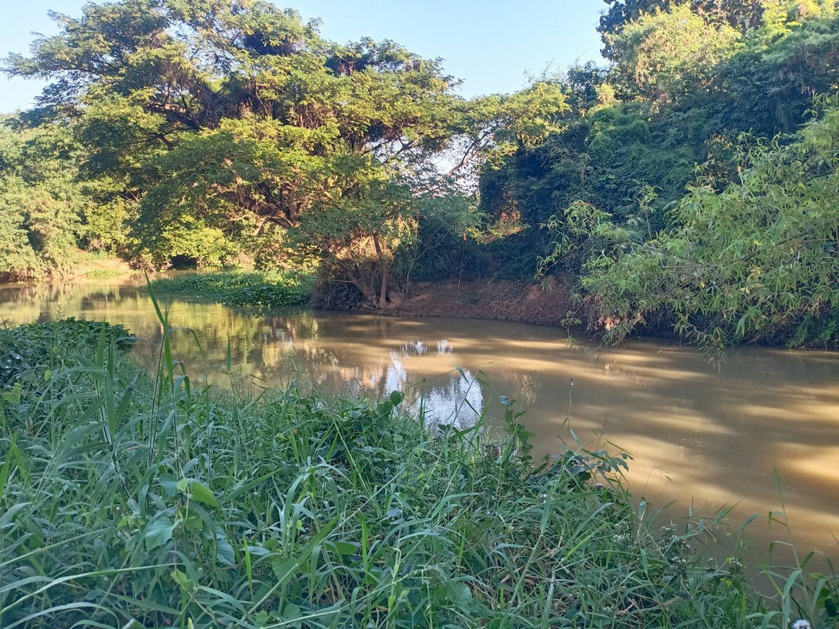 ขายที่ดินชัยนาท : ขายที่ดิน ตำบล วังไก่เถื่อน อ.หันคา ชัยนาท ติดคลอง