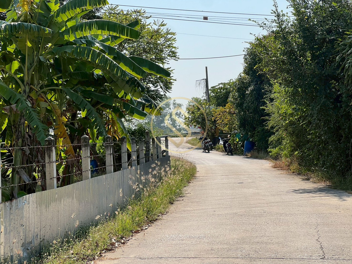 For SaleHouseChai Nat : Urgent sale, Baan Suan Som O, a fertile vacation home in Sankhaburi District. Chainat Province 4 rai 1 ngan, no flooding.