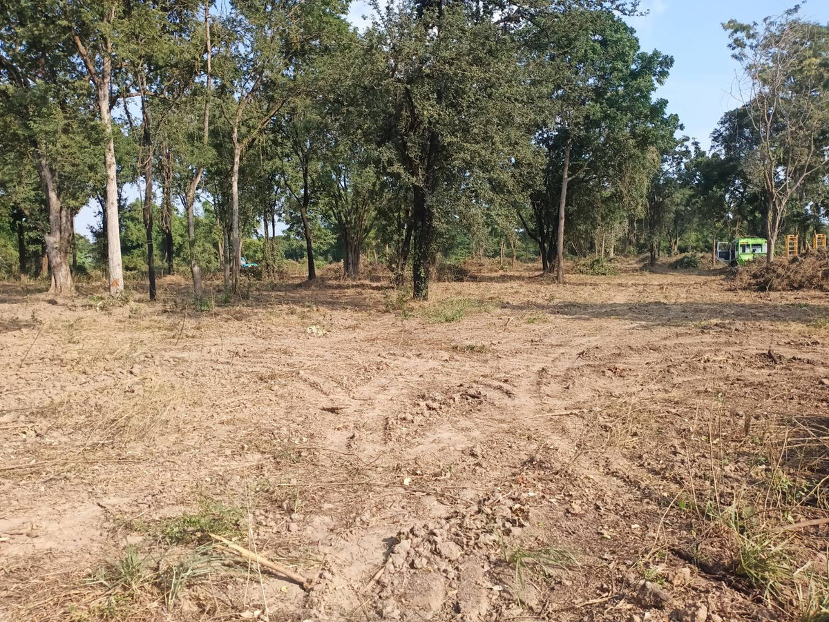 For SaleLandChai Nat : Land for sale, Wang Kai Thuen Subdistrict, Hankha District, Chainat, next to a canal.