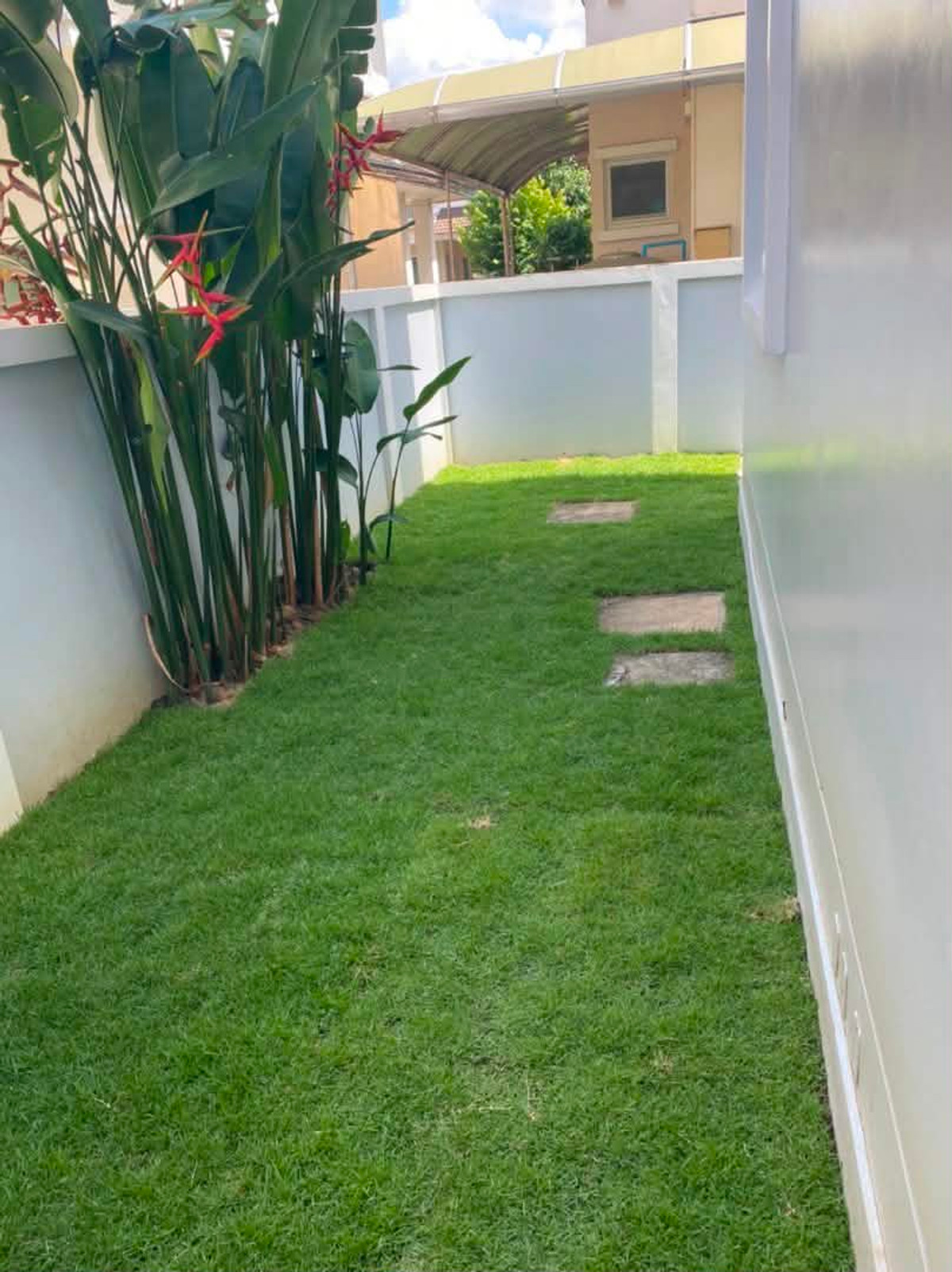 ให้เช่าบ้านบางแค เพชรเกษม : Move-in Ready Corner House with Garden for Rent | Nantawan Sathorn–Ratchaphruek  3 bed 3 bath