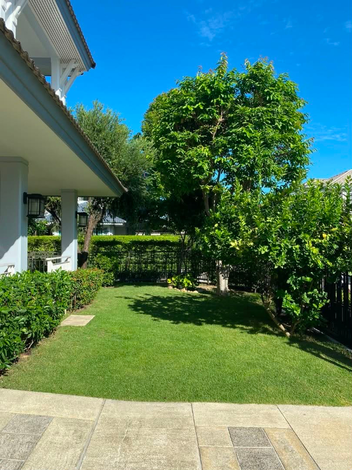 ให้เช่าบ้านบางแค เพชรเกษม : Move-in Ready Corner House with Garden for Rent | Nantawan Sathorn–Ratchaphruek  3 bed 3 bath