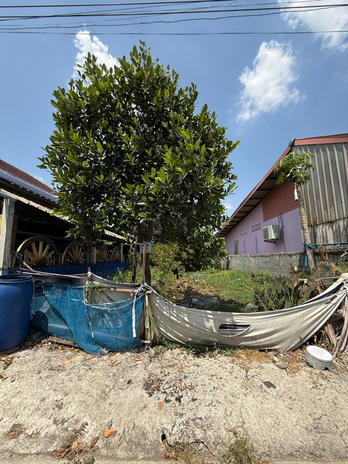 ขายที่ดินมีนบุรี-ร่มเกล้า : ขายที่ดิน 23.6 ตรว ชุมชนการเคหะซ.คลองเก้า 7