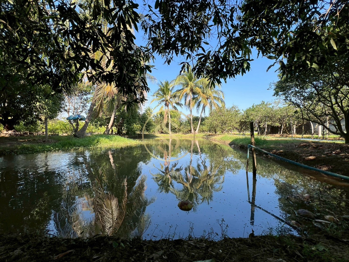For SaleHouseChai Nat : Urgent sale, Baan Suan Som O, a fertile vacation home in Sankhaburi District. Chainat Province 4 rai 1 ngan, no flooding.