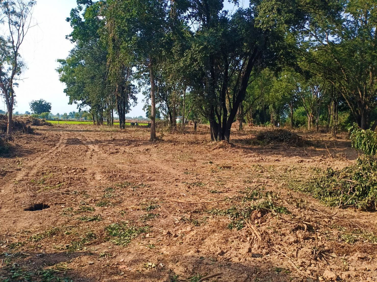 ขายที่ดินชัยนาท : ขายที่ดิน ตำบล วังไก่เถื่อน อ.หันคา ชัยนาท ติดคลอง