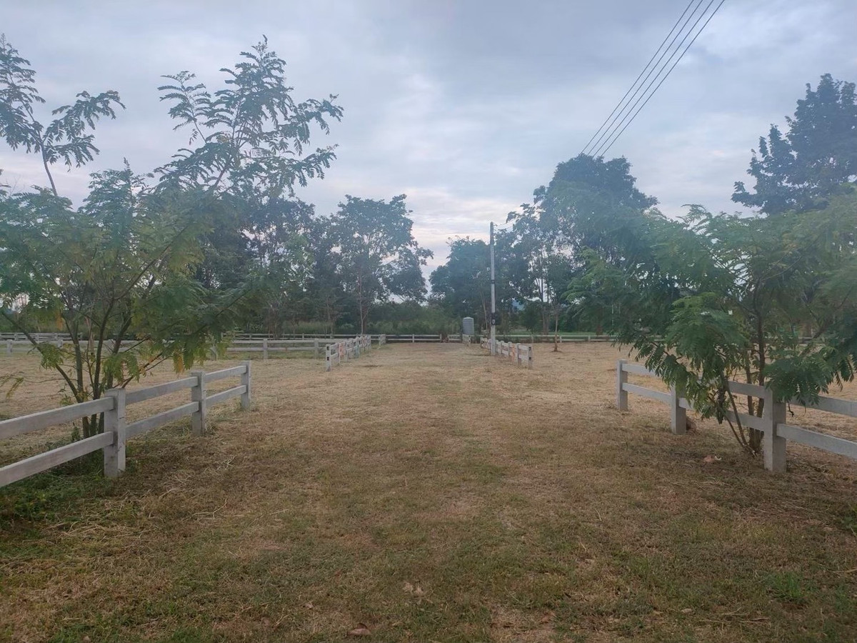 ขายที่ดินปากช่อง เขาใหญ่ : ขายที่ดินวิวเขา ต.โป่งตาลอง เขาใหญ่ ปากช่อง นครราชสีมาเริ่มต้น 13,000บาท/ตารางวา