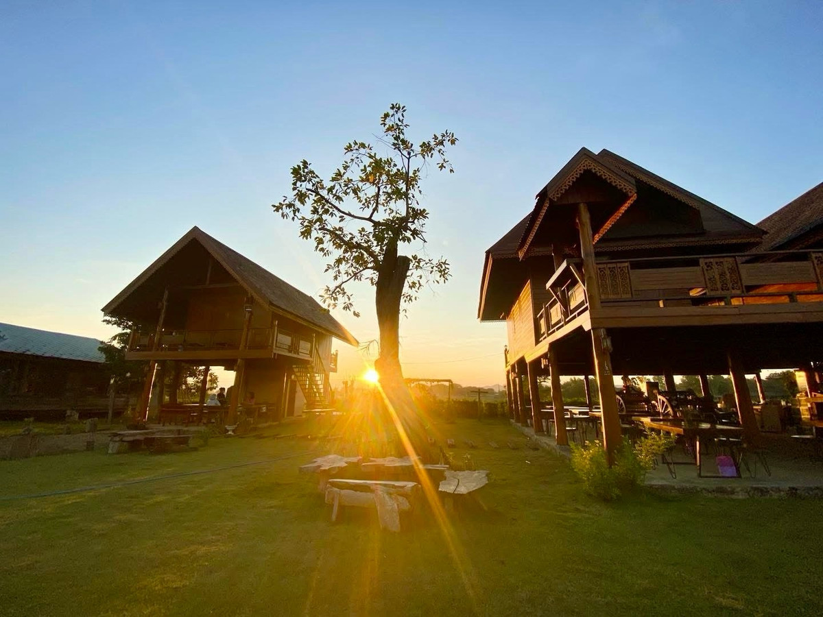 For SaleHousePhrae : Old teak houses for sale, large and small. Complete with train carriages On land in a prime location, Phrae Province, over 8 rai, next to the road along the irrigation canal, mountain view, cool and shady atmosphere mixed with the scent of nature in every