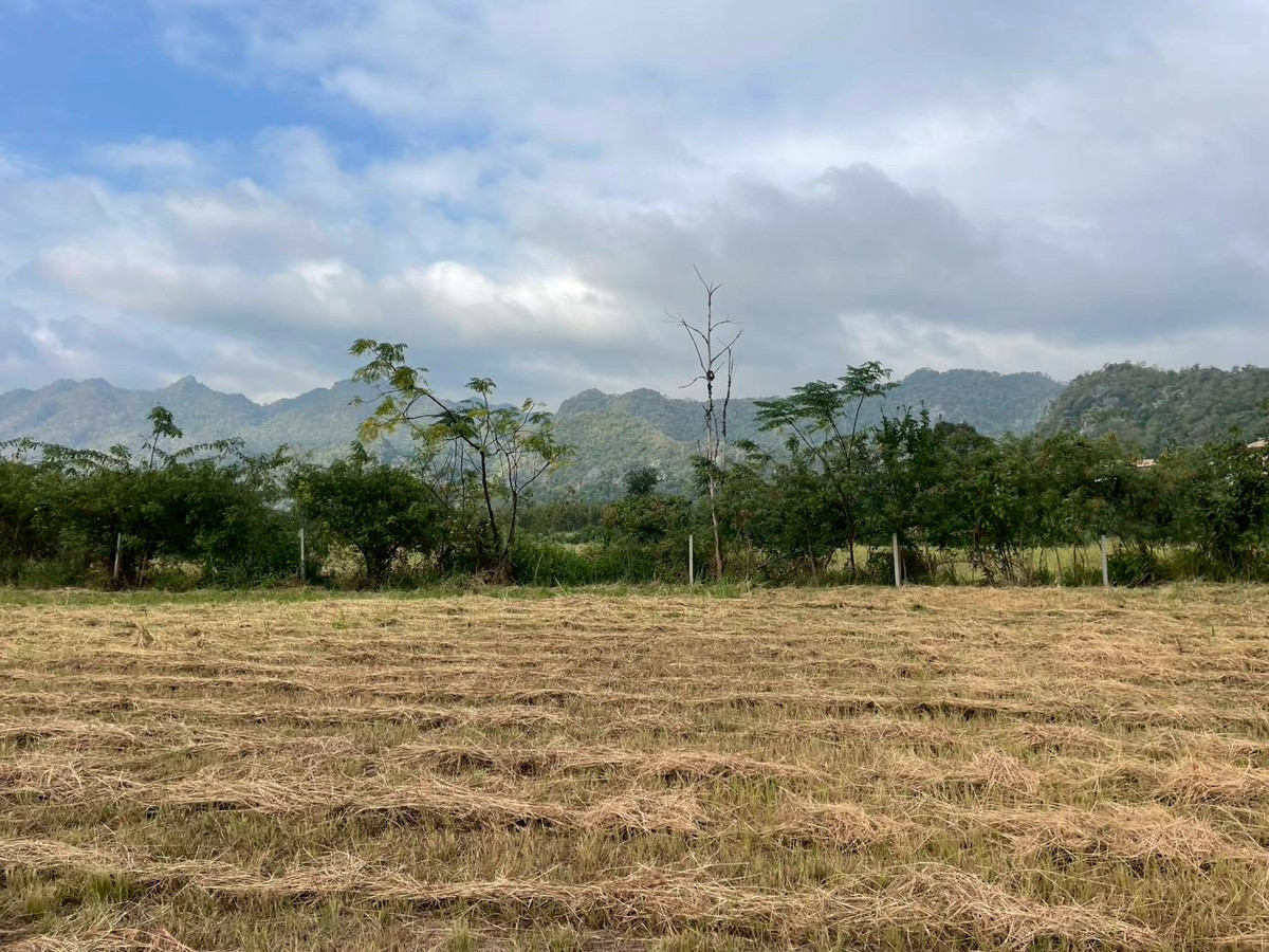 ขายที่ดินโคราช นครราชสีมา : ขายที่ดินสวย วิวภูเขา เขาใหญ่ นครราชสีมา