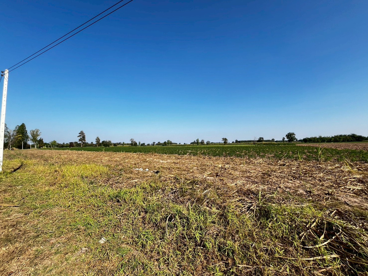 For SaleLandKhon Kaen : Large Land for Sale Near Singha Park Golf Course, Khon Kaen 