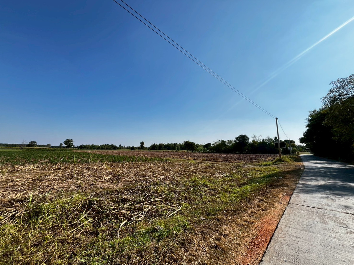 For SaleLandKhon Kaen : Large Land for Sale Near Singha Park Golf Course, Khon Kaen 