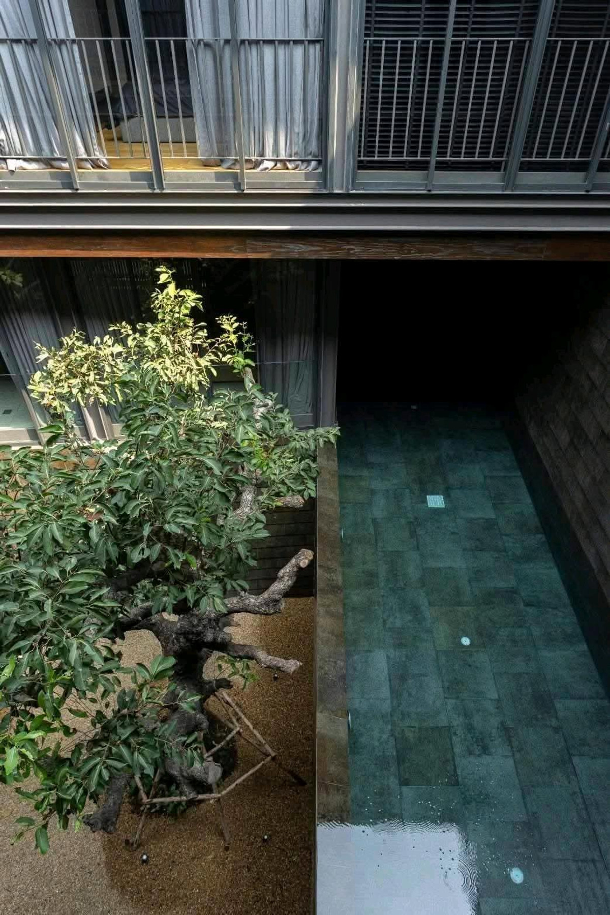 ขายบ้านเกษตรศาสตร์ รัชโยธิน : 🔥Exclusive Urban Pool Villa – รัชโยธิน 65 ล้านบ้านใหม่🔥