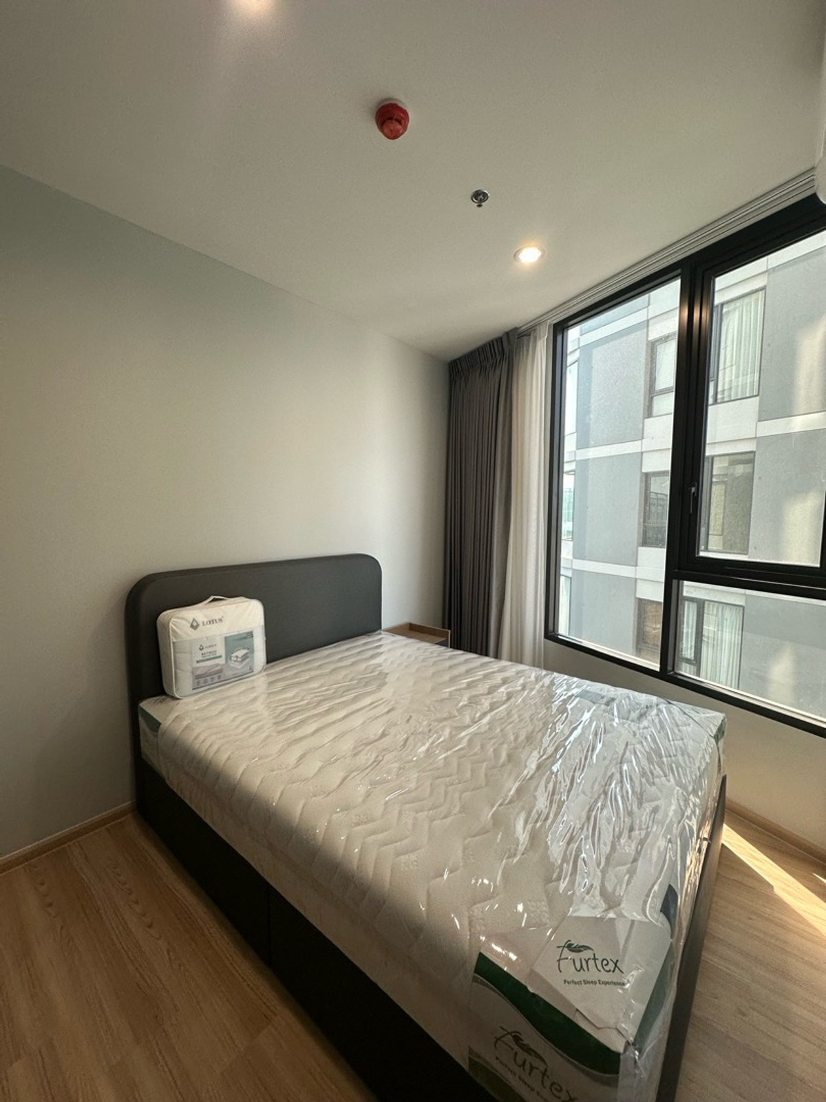 ให้เช่าคอนโดอ่อนนุช อุดมสุข : ให้เช่าSKYRISE Avenue Sukhumvit 64