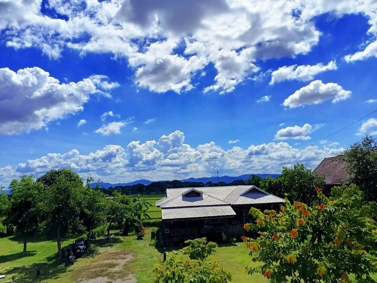 For SaleHousePhrae : Old teak houses for sale, large and small. Complete with train carriages On land in a prime location, Phrae Province, over 8 rai, next to the road along the irrigation canal, mountain view, cool and shady atmosphere mixed with the scent of nature in every